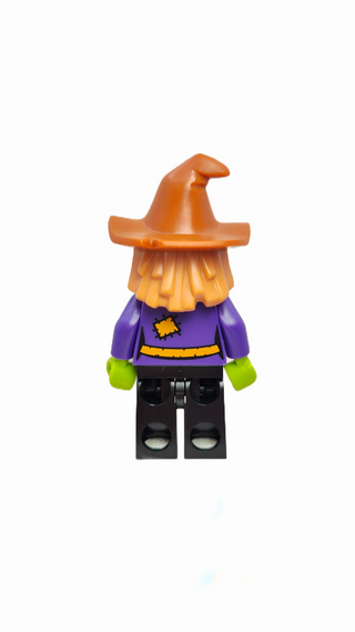 Wacky Witch, hol173 Minifigure LEGO®   