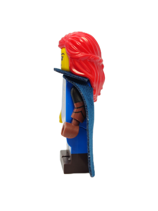 Falconer, col24-5 Minifigure LEGO®   