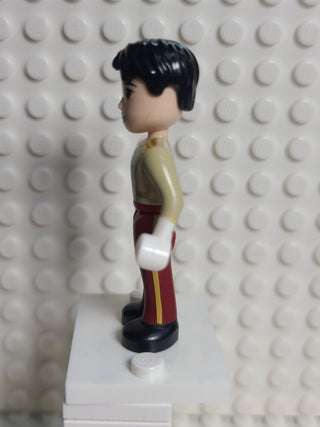 Prince Charming, dp052 Minifigure LEGO®   