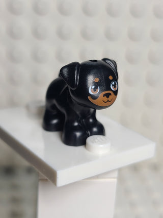 Pug, Black w/ Medium Nougat Muzzle and Spots Pattern (Apollo) LEGO® Animals LEGO®   