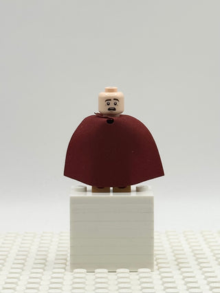 Prince Florian, dis135 Minifigure LEGO®   