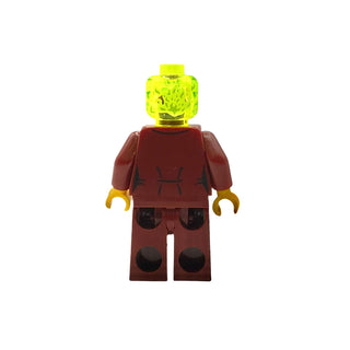 Ms. Santos(possessed), hs021 Minifigure LEGO®