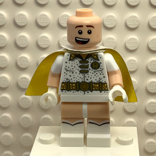 Disco Robin, sh444 Minifigure LEGO®   