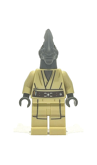 Coleman Trebor, sw0480 Minifigure LEGO®   