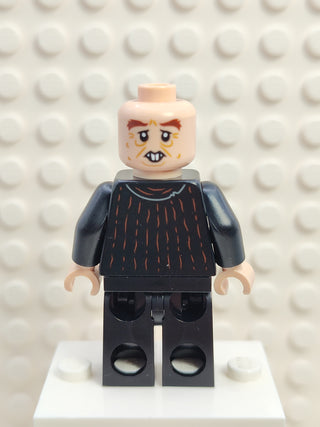 Peter Pettigrew, hp351 Minifigure LEGO®   