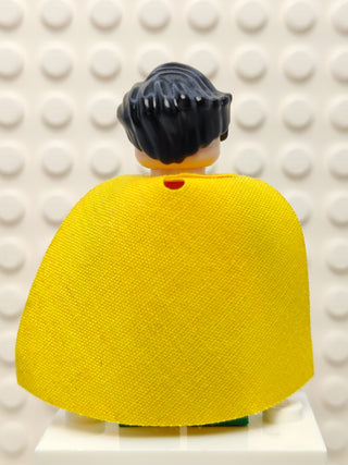 Robin, bat009 Minifigure LEGO®   