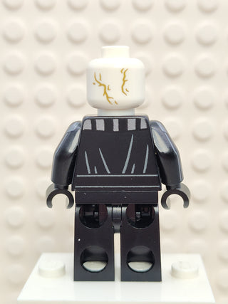 Darth Vader - Printed Arms, sw1273 Minifigure LEGO®   