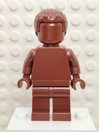 Everyone is Awesome Reddish Brown, tls101 Minifigure LEGO®   