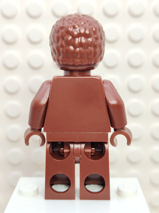 Everyone is Awesome Reddish Brown, tls101 Minifigure LEGO®   