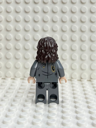 Sirius Black, hp352 Minifigure LEGO®   