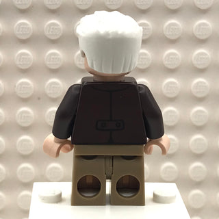 Carl Fredricksen, dis091 Minifigure LEGO®   