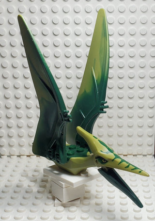 LEGO® Dinosaur Pteranodon - Dark Green Back LEGO® Animals LEGO®   