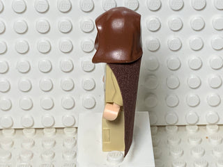 Qui-Gon Jinn, sw0172 Minifigure LEGO®   