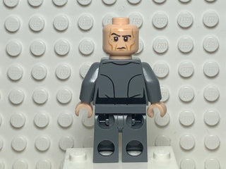 Grand Moff Wilhuff Tarkin, sw0770 Minifigure LEGO®   