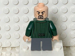 Daily Prophet Photographer, hp245 Minifigure LEGO®   