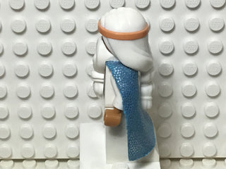 Vitruvius, tlm021 Minifigure LEGO®   