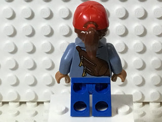 Amber Grant, sh0725 Minifigure LEGO®   