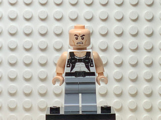 Rhino, sh0192 Minifigure LEGO®   