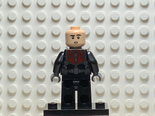 Ant-Man, sh0201 Minifigure LEGO®   