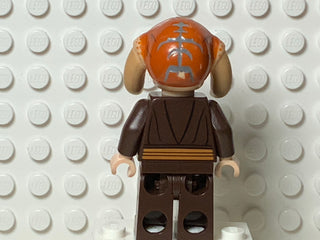 Saesee Tiin, sw0420 Minifigure LEGO®   