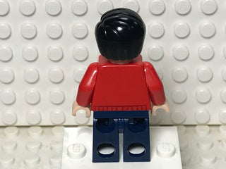 Dick Grayson, sh0236 Minifigure LEGO®   