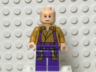 The Ancient One, sh0298 Minifigure LEGO®   