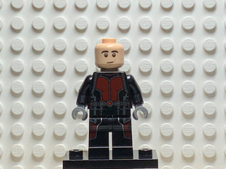 Ant-Man, sh0201 Minifigure LEGO®   