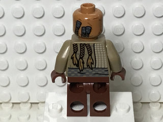 Weequay Guard, sw1197 Minifigure LEGO®   