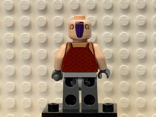 Sugi, sw0305 Minifigure LEGO®   