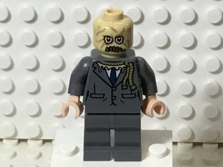 Scarecrow, sh0780 Minifigure LEGO®   