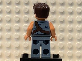 Zander, sw0754 Minifigure LEGO®   