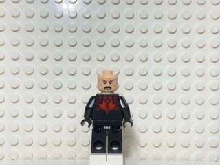 Hank Pym, sh0202 Minifigure LEGO®   