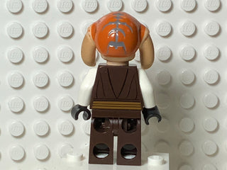 Saesee Tiin, sw0308 Minifigure LEGO®   