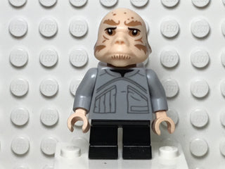 Ugnaught, sw0970 Minifigure LEGO®   