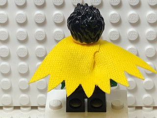 Robin, sh0651 Minifigure LEGO®   