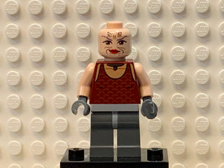 Sugi, sw0305 Minifigure LEGO®   