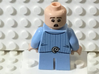 Dudley Dursley, hp317 Minifigure LEGO®   