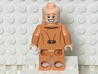 Gilderoy Lockhart, hp309 Minifigure LEGO®   