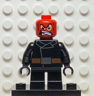 Red Skull, sh0251 Minifigure LEGO®   