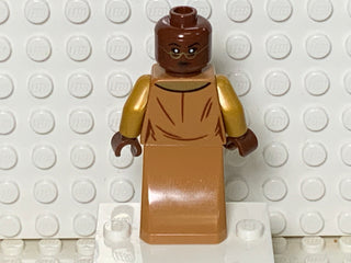 Professor Sinestra, hp310 Minifigure LEGO®   