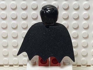 Robin, sh0011 Minifigure LEGO®   