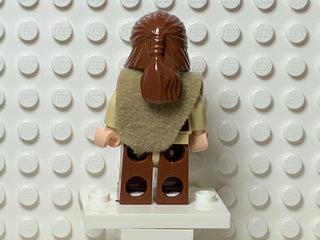 Qui-Gon Jinn, sw0651 Minifigure LEGO®   