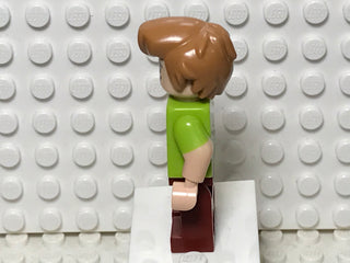 Shaggy Rogers, scd001 Minifigure LEGO®   