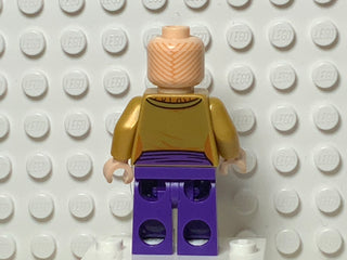 The Ancient One, sh0298 Minifigure LEGO®   