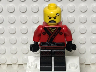 Kai Kendo, coltlnm-1 Minifigure LEGO®   