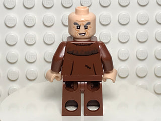 Argus Filch, hp353 Minifigure LEGO®   