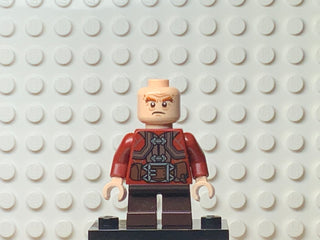 Gloin the Dwarf, lor055 Minifigure LEGO®   